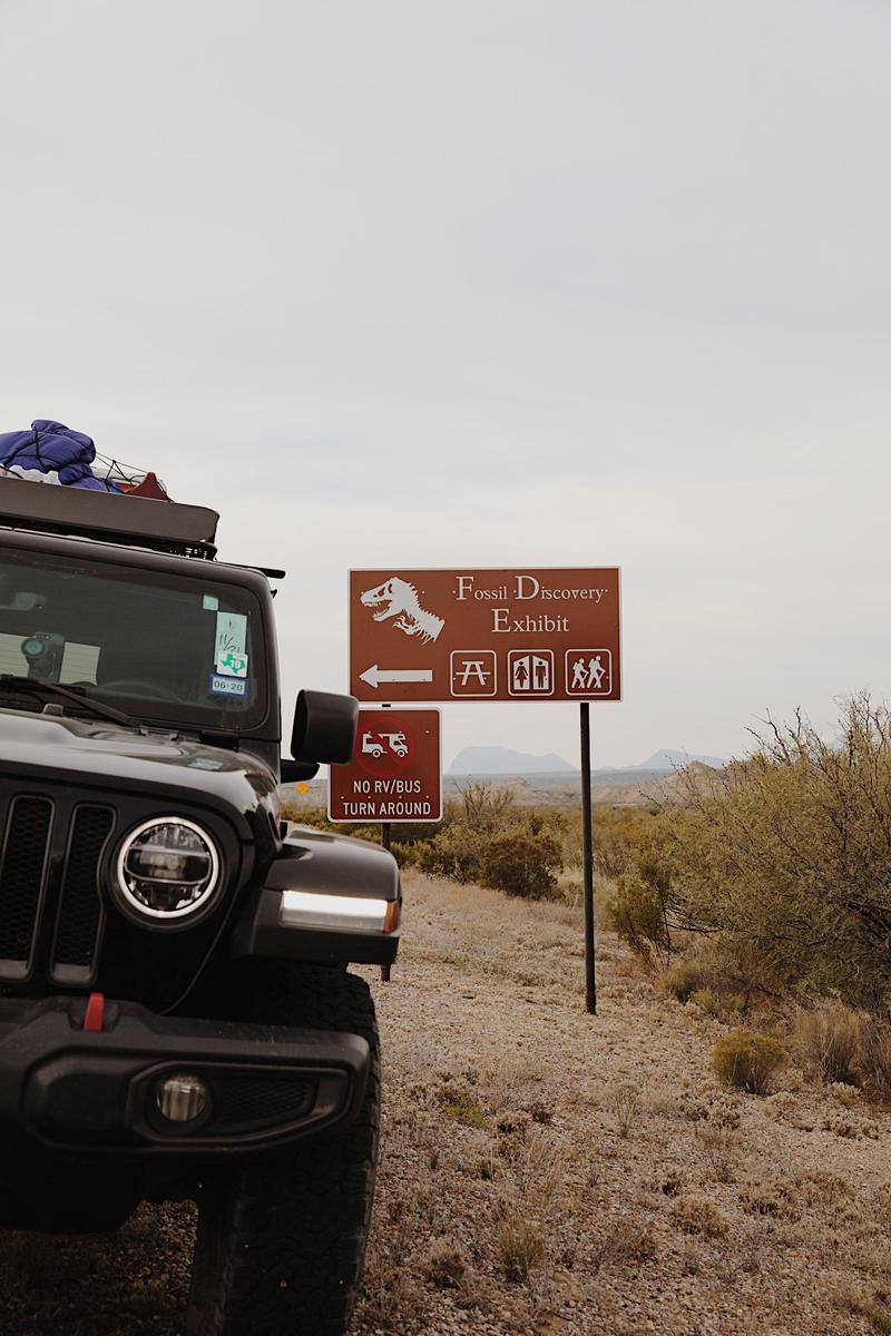 I brought the wrong Jeep